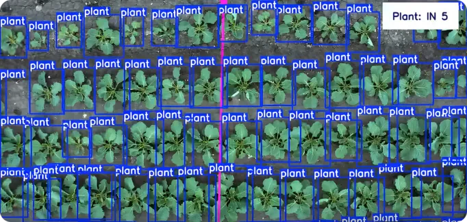 Crop Growth Monitoring